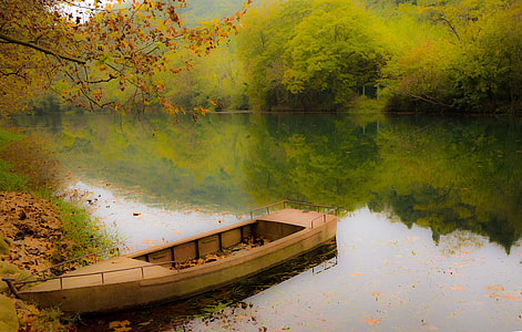beige boat near land with dried leaves thumbnail
