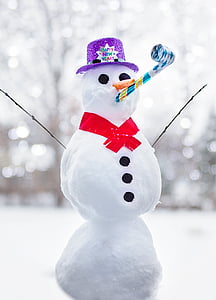 shallow focus photography of snowman thumbnail