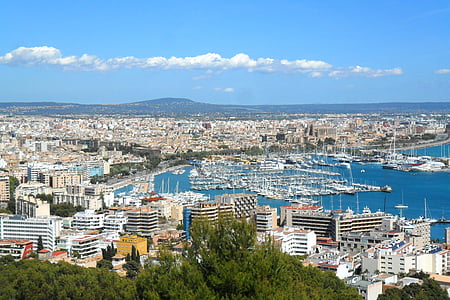 aerial photography of city near body of water thumbnail