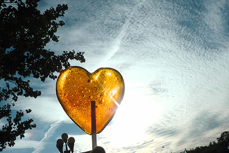 heart lollipop under silhouette of leaves thumbnail