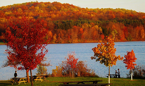 children standing next to picnic tables beside calm body of water during daytime thumbnail