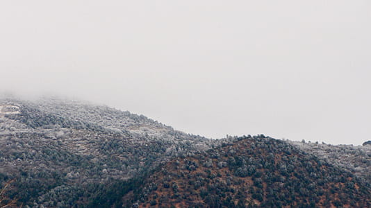 mountain cover with trees photography thumbnail