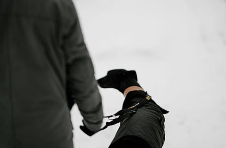 person holding harness thumbnail