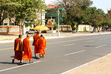 monks walking on road thumbnail