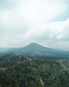 Aerial Photo of Mountain and Forest thumbnail