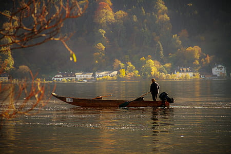 person riding motorboat surrounded by trees thumbnail