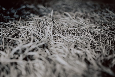 Grey rug texture closeup thumbnail