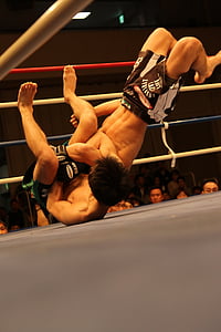 two wrestlers on ring in arena thumbnail