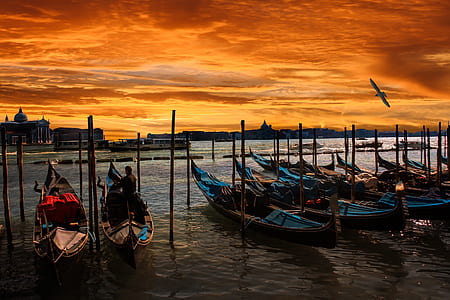boats docked on body of water thumbnail