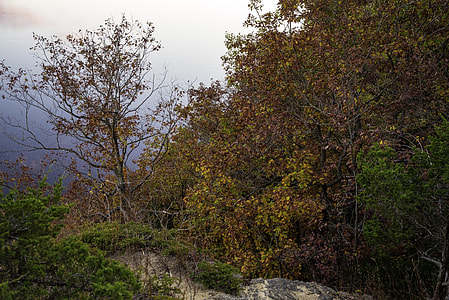 Beautiful Autumn Foliage at Ferry Bluff, Wisconsin thumbnail