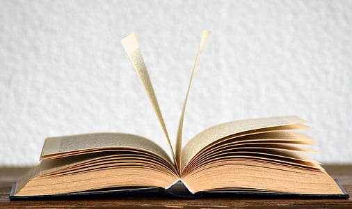 brown book thumbnail