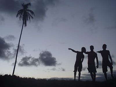 man pointing at palm tree ] thumbnail