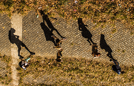 aerial photo of person walking on road during daytime thumbnail