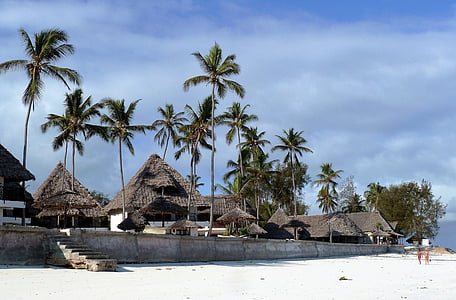 cottages near white sand beach thumbnail