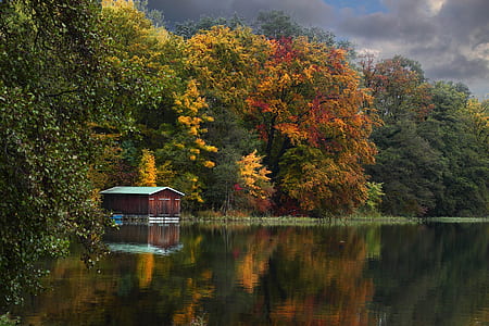 reflective photography of house near body of water and tall trees thumbnail