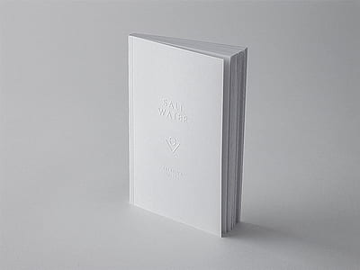 Salt Water book thumbnail