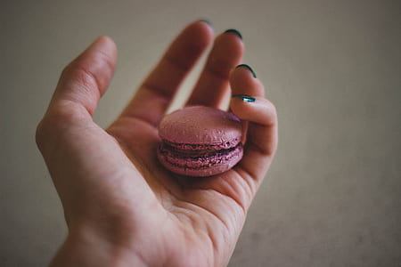 Pink Baked Biscuit thumbnail