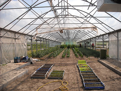 green house during daytime thumbnail