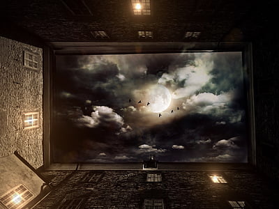 worm's eye view of sky with full moon thumbnail