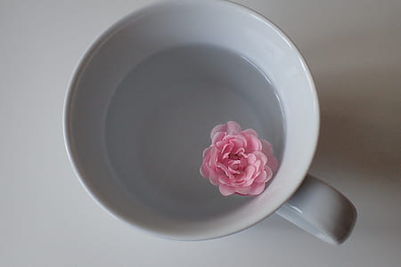 pink flower on white ceramic mug thumbnail
