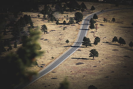 aerial photography of straight concrete road beside trees thumbnail