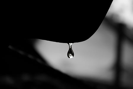 scenery of water drop thumbnail