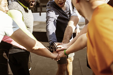 Group of People Holding Hands Together thumbnail