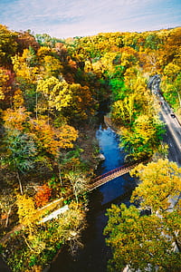 bird's-eye view of metal bridge thumbnail