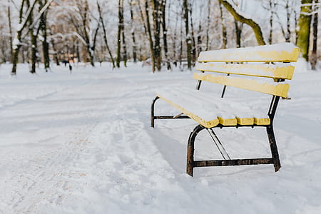 Wintery Park thumbnail