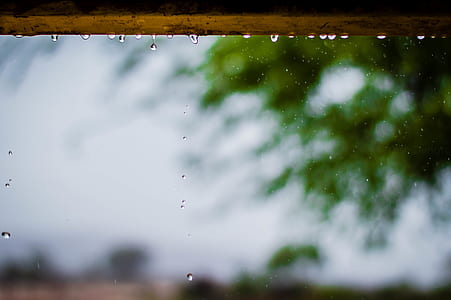 Photography of Rainy Weather With Trees thumbnail