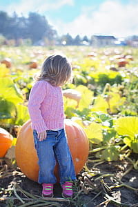 girl sitting on pumpkin thumbnail