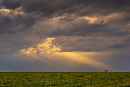 landscape photography of green grass field during golden hour thumbnail