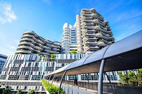 landscape photography of bridge and city building thumbnail