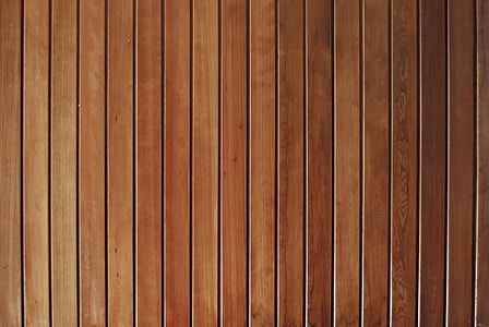 macro photography of brown wooden plant thumbnail