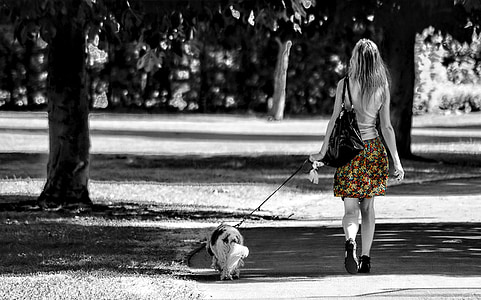 selective color photo of woman's skirt walking with her dog thumbnail