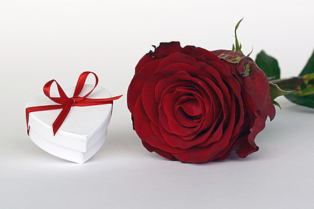 white heart gift box beside red rose thumbnail
