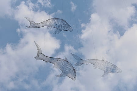 three fish string decor under white clouds and blue sky thumbnail