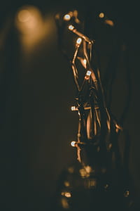 selective focus photography of string lights thumbnail