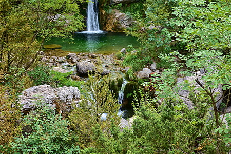 waterfalls near forest during daytime thumbnail