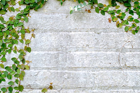 photo of gray concrete surface thumbnail