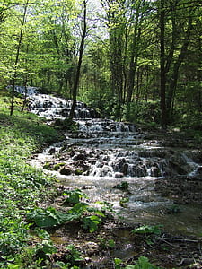 river with flowing water in between forest thumbnail