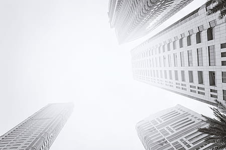 Bottom view of modern skyscraper. Business district in black & white thumbnail