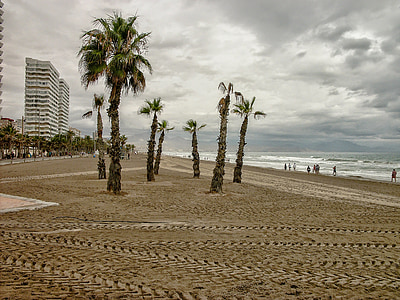 people on beach at daytime thumbnail