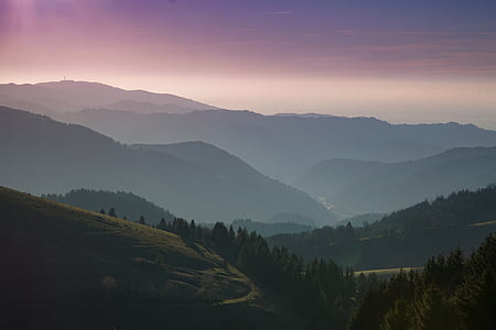 bird's eye view of trees and hills thumbnail
