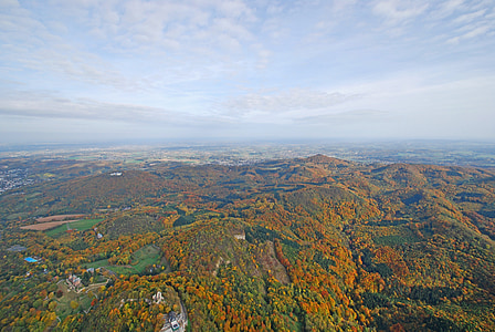 aerial view of forest thumbnail