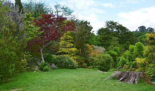 green grassfield surrounded by green and red leaf trees thumbnail