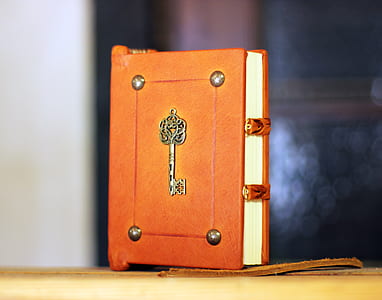 brown book thumbnail