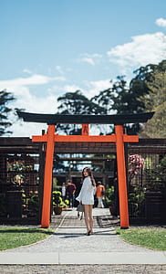 woman walking towards wooden torii gate while looking back thumbnail