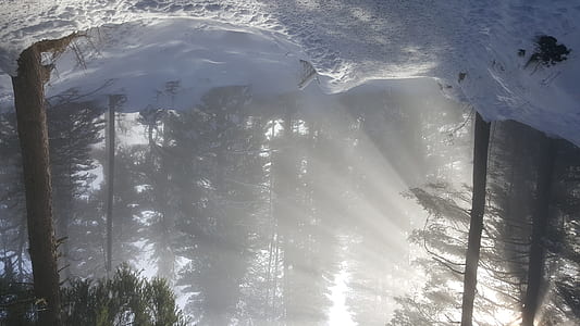 open field covered with snow and trees thumbnail