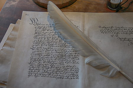 white feather on white paper thumbnail